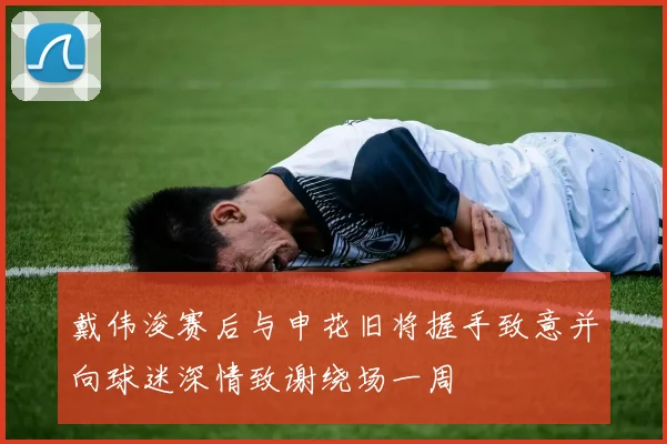 戴伟浚赛后与申花旧将握手致意并向球迷深情致谢绕场一周